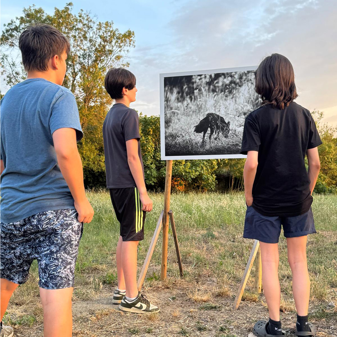 photographie de l'exposition les Métamorphoses de Sylvère Petit