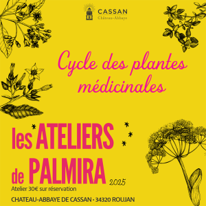 Les ateliers de Palmira un rendez vous mensuel ressourçant