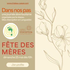 Visuel de la manifestation Dans nos Pas