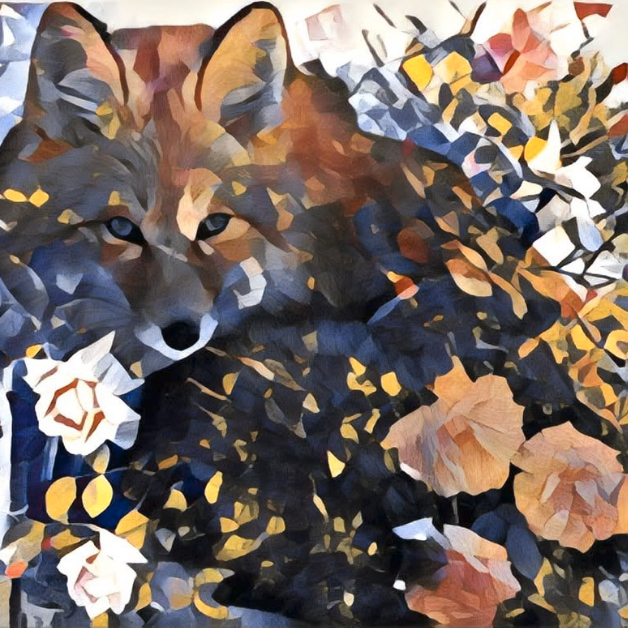 photo du Renard de Jane Aplleton